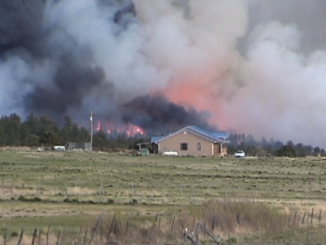 neighbors to the east